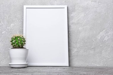 Saksıyı ve kopya alanı için poster gri beton zemin üzerine beyaz çerçevesi mock-up küçük kaktüs