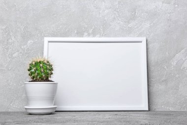 Saksıyı ve kopya alanı için poster gri beton zemin üzerine beyaz çerçevesi mock-up küçük kaktüs