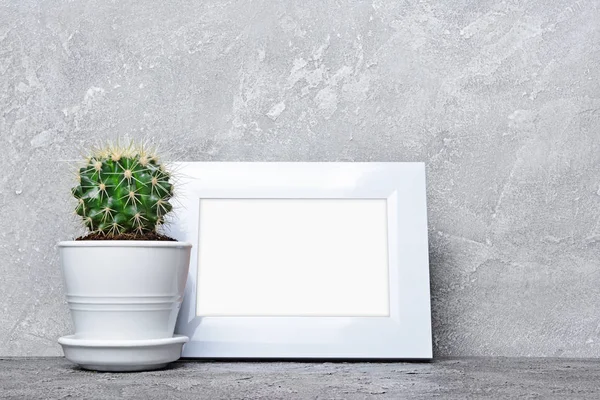 Saksıyı ve kopya alanı için poster gri beton zemin üzerine beyaz çerçevesi mock-up küçük kaktüs