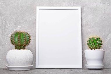 Saksı ve kopya alanı için poster gri beton zemin üzerine beyaz çerçevesi mock-up küçük kaktüsler