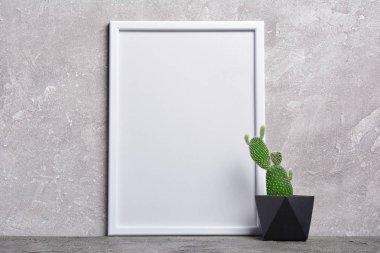 Siyah saksıyı ve kopya alanı için poster gri beton zemin üzerine beyaz çerçevesi mock-up küçük kaktüs