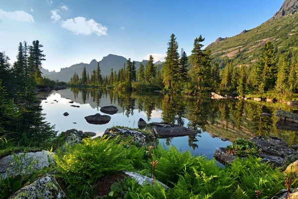 Landschaft Von Schönen Sommer Malerischen Bergsee Mit Farnen Auf Blauem — Stockfoto