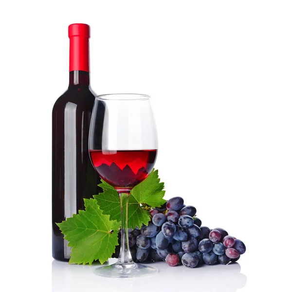 Butelka Szkło Degustacji Świeżych Winogron Białym Tle — Zdjęcie stockowe