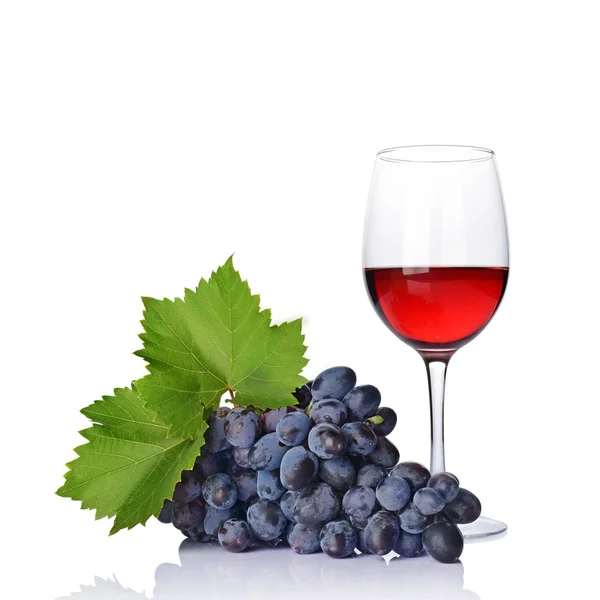 Glass Red Wine Tasting Fresh Grape Green Leaf Isolated White — Stock Photo, Image