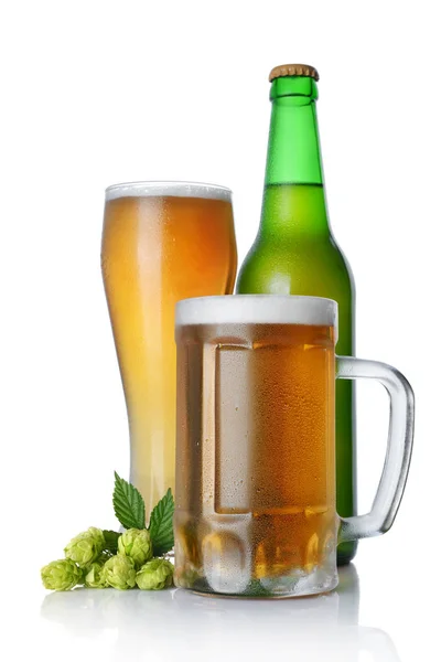 Bottle and glasses of cold light beer with foam and green hops isolated on white background