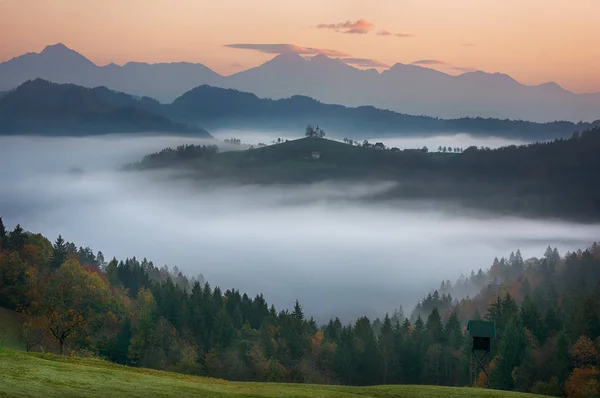 Beautiful Sunrise Landscape Saint Thomas Church Slovenia Hilltop Morning Fog — Stock Photo, Image