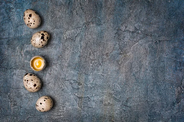 Вид Сверху Мелкие Перепелиные Яйца Голубом Бетонном Фоне Копировальным Пространством — стоковое фото