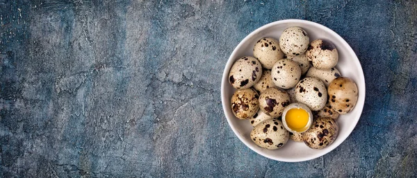 Top View Wide Banner Small Quail Eggs White Bowl Blue — Stock Photo, Image