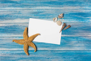 Üstten Görünüm tasarlamak için fotoğraf veya yazı deniz yıldızı ve kabukları mavi ahşap arka plan üzerinde beyaz kağıt kartı üzerinde