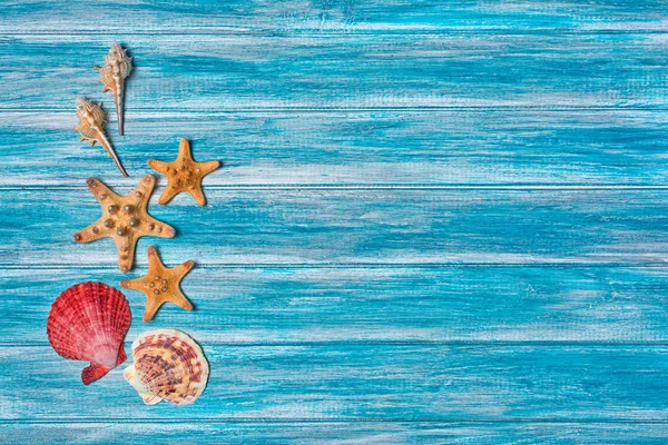 Vista Superior Estrellas Mar Conchas Sobre Fondo Madera Azul Como — Foto de Stock