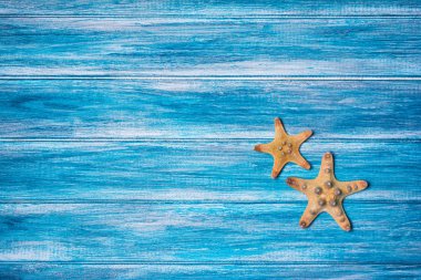 Tatil zamanı kavramı olarak mavi arka planda denizyıldızları