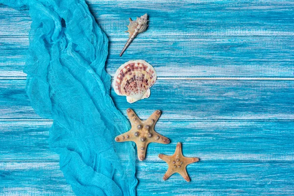 Starfishes e conchas no corredor de mesa de gaze azul como conceito de férias — Fotografia de Stock