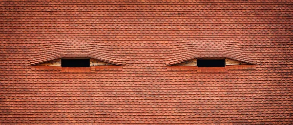 Windows looks like eyes - famous architectural detail in Sibiu, Romania — 스톡 사진