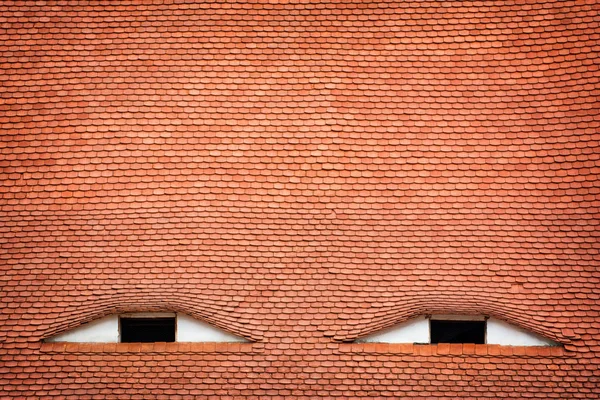 Windows looks like eyes - famous architectural detail in Sibiu, Romania — 스톡 사진