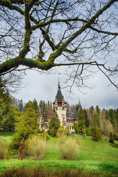 ภูมิทัศน์ที่มีปราสาท Peles ในโรมาเนีย — ภาพถ่ายสต็อก