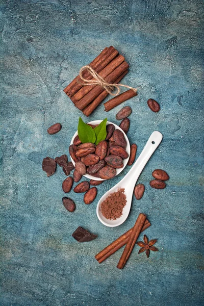 Şekerleme için baharat ile kakao çekirdekleri ve toz üzerinde üst görünümü — Stok fotoğraf