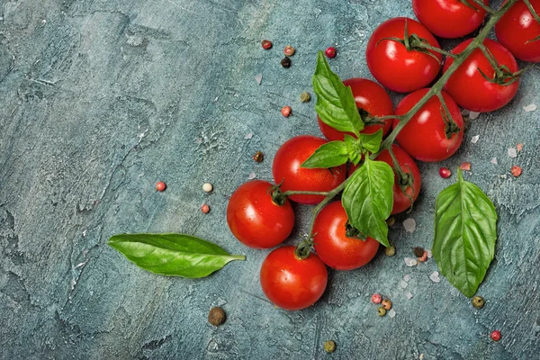 Cherry tomatoes and basil leaves with spices — Stock Photo, Image