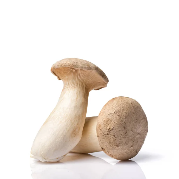 Champignons frais d'huître royale ou eringi pour le repas gastronomique — Photo