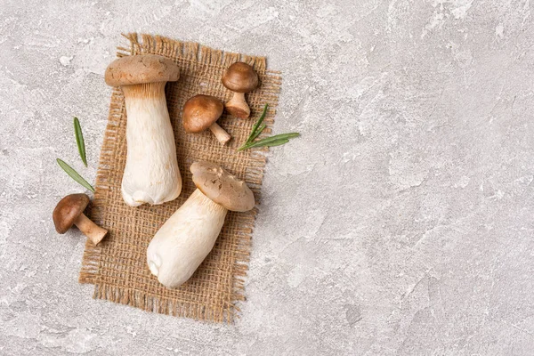 Verse Champignons Mix Van Shiitake King Oyster Eringi Met Rozemarijn — Stockfoto