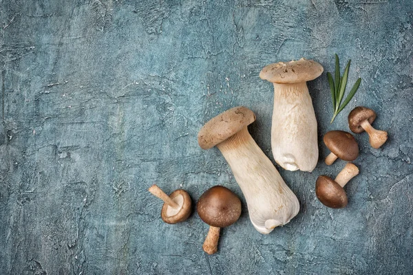 Mix di funghi freschi di shiitake e ostrica re o eringi con rosmarino — Foto Stock