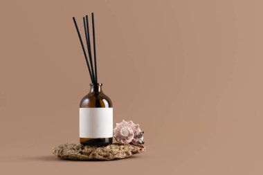 Kireç taşı ve deniz kabuğu üzerine boş etiketli kehribar cam kamış ayırıcı, bej arka plan. Markalaşma, spa, parfüm, doğal güzellik ve eko-lüks kavramlar için minimalist aroma terapisi..