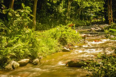 bir güneşli sabah güzel Paniki Pombewe nehre nehir Paniki Pombewe temiz su için Sigi şehir bazı insanlar hem sulama suyu çiftçiler için bir kaynak tedarikçisi, nehir suyu her zaman yıl boyunca akar.