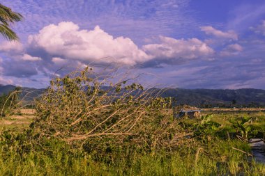 Köyleri, deprem ve الرسالة nedeniyle kaybetti Bu Petobo Köyü, Palu şehir, merkezi Sulawesi hangi 28 Eylül 2018 üzerinde deprem ve الرسالة felaket nedeniyle kayıp durumda