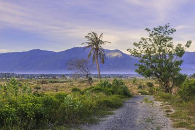 deprem ve الرسالة doğal afetler Petobo Köyü, Palu şehir, merkezi Sulawesi ciddi hasar