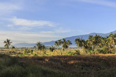 deprem ve الرسالة doğal afetler Petobo Köyü, Palu şehir, merkezi Sulawesi ciddi hasar