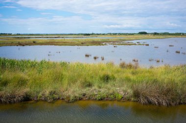 Les Sables d 'Olonne Vendee France' daki Marais d Olonne bataklığının manzarası