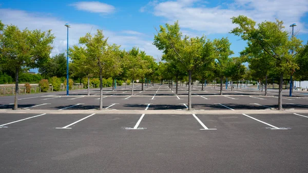 Fransa'da güneşli yaz gününde ağaçlarıyla güzel boş Park yeri