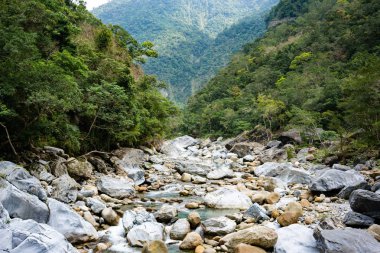 Kayalar taroko gorge Ulusal Parkı Hualien Tayvan yılında Shakadang izi boyunca nehir manzaralı