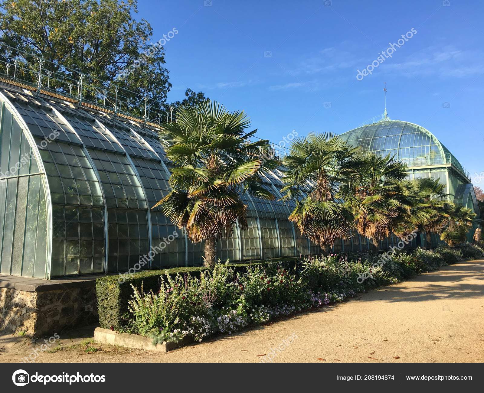 Palmarium Greenhouse Jardin Des Serres Auteuil Botanical Garden