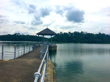Eski iskele Macritchie rezervuar Park'ta Singapur