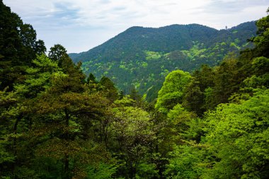 Jiangxi Çin dağlarında Lushan Milli Parkı farklı boyama ile yeşil orman üzerinde göster