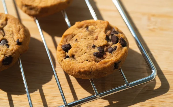 Házi Lágy Csokoládé Chip Cookie Egy Sütő Polc Nap Fény — Stock Fotó