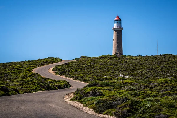 Cape du Couedic Sa Avustralya'da Kanguru Adası, kırmızı top ve dolambaçlı yolu ile deniz feneri