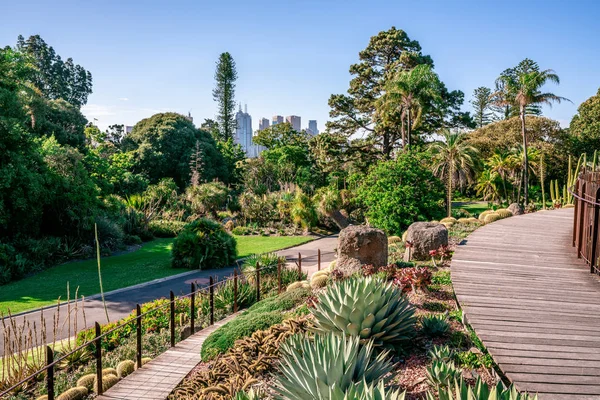Melbourne Victoria Avustralya Kraliyet Botanik Bahçeleri doğal görünümü