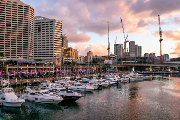 Tramonto sul porto turistico Darling Harbour con barche a vela a Sydney NSW — Foto Stock