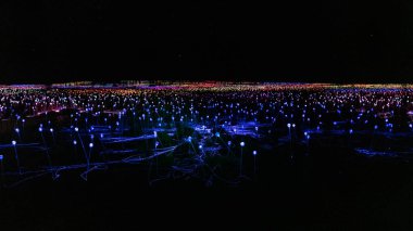 Field of light panorama at night with blue lights in NT Australi clipart