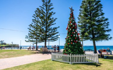 Sydney Nsw au Coogee Beach suların çekildiği kıyı Noel ağacına
