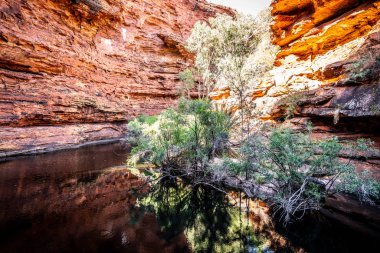 O içinde Kings Canyon eden bahçesinde su deliği görünümü