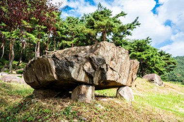 Gochang 'daki Dolmen' ler Güney Gochang 'daki neolitik dönemden kalma.