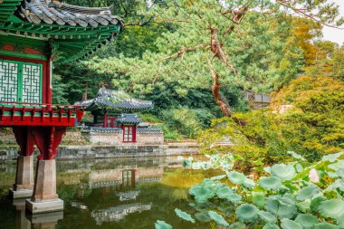 Huwon, Changdeokgung Sarayı 'nda Bu manzaralı gizli bahçe manzarası.