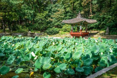 Huwon, Ae manzaralı Changdeokgung Sarayı 'nın gizli bahçe manzarası.