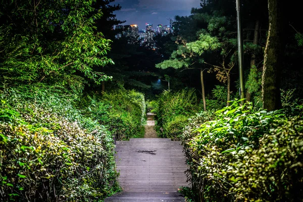 Güney Kore 'de geceleyin Namsan dağ parkında yol. — Stok fotoğraf