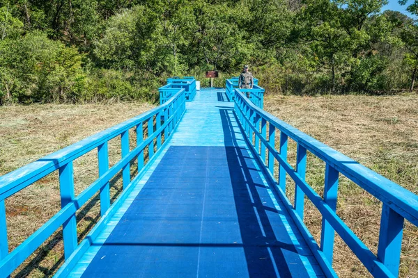 Blue bridge at the border between the North and South Korea at t — Stock Photo, Image
