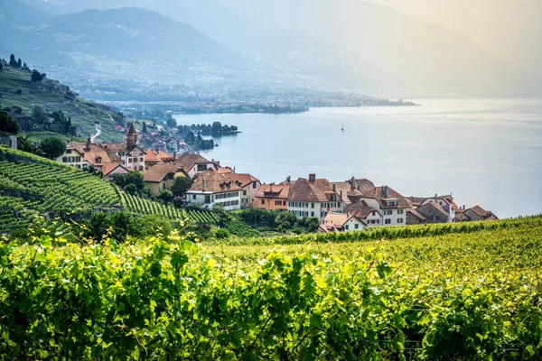 Vue Panoramique Village Rivaz Milieu Des Vignobles Terrasses Lavaux Sur — Photo