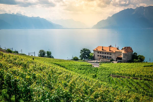 Malerischer Blick Auf Den Genfer See Und Die Terrassierten Weinberge — Stockfoto