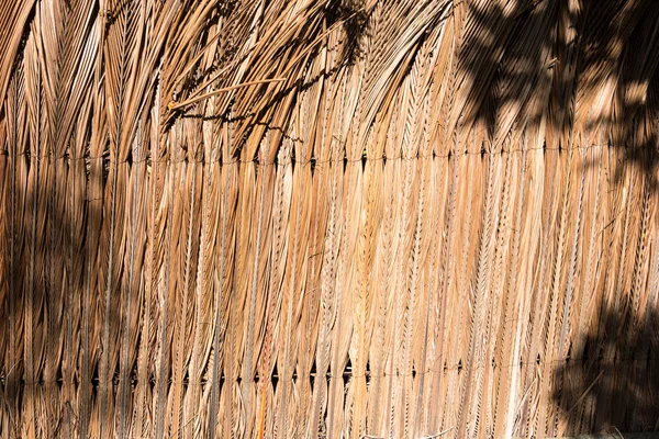 Gedroogde Kokosnoot Bladeren Zijn Samengebonden Worden Hek Muur Met Schaduw — Stockfoto